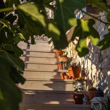 Jokic Dvori Zadarvillas Villa *